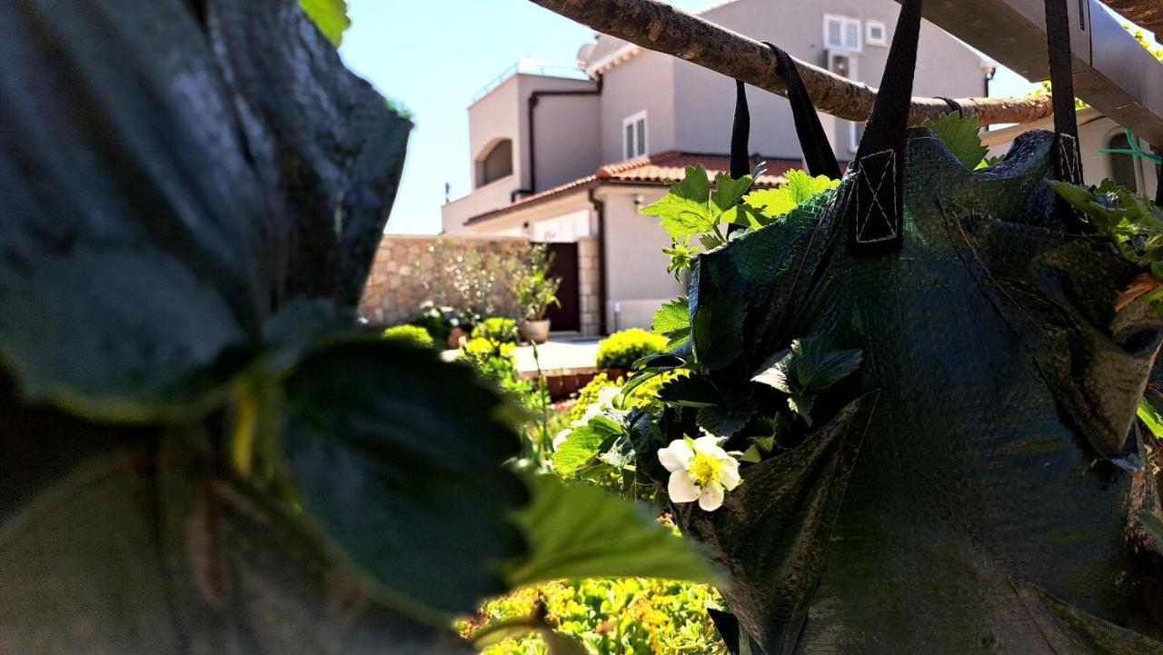 Dubrovnik Airport Apartment Tea Durovici Eksteriør bilde
